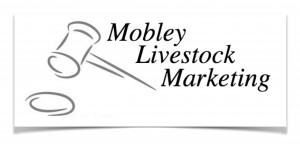 Mobley Livestock Marketing Logo card copy
